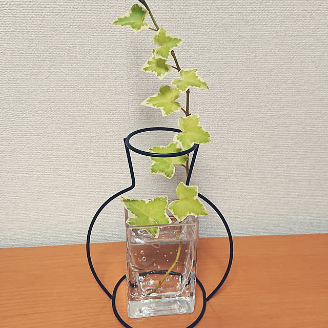 yuさんの実例写真