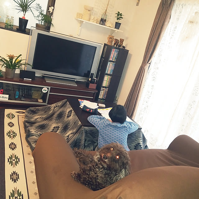 mimi828さんの実例写真