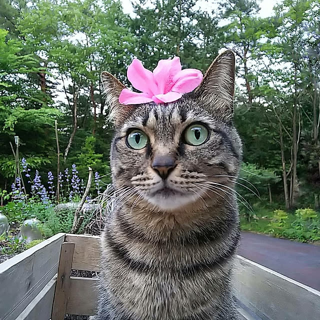 weさんの実例写真