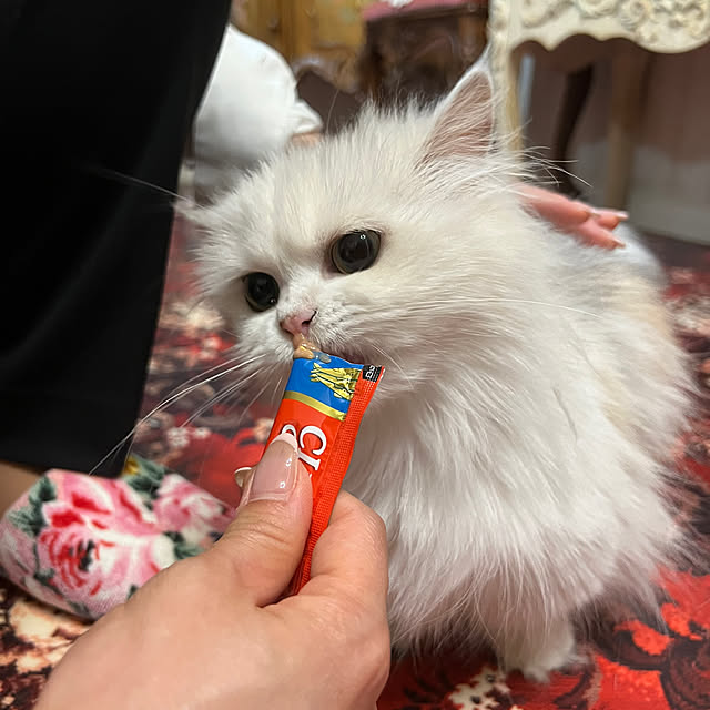 AYUKOさんの部屋