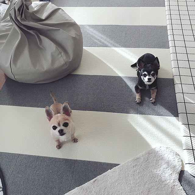 Emiさんの実例写真