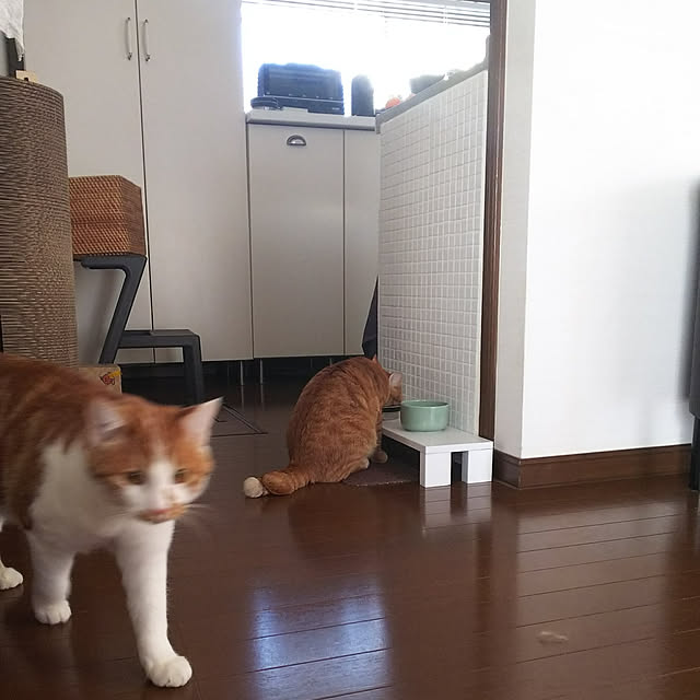 rapin8226さんの実例写真