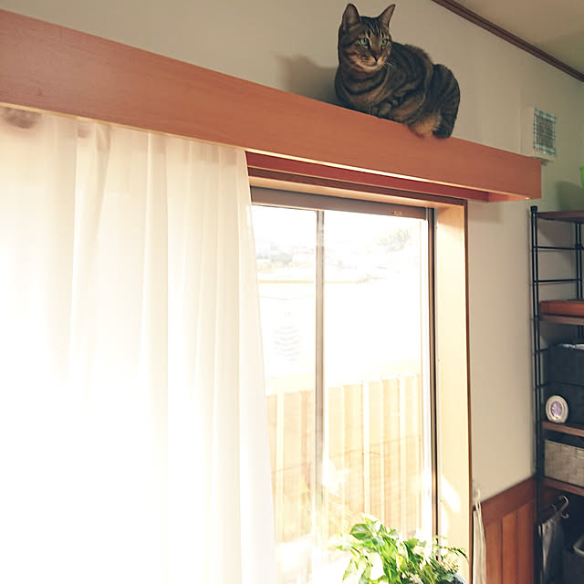nachiさんの実例写真