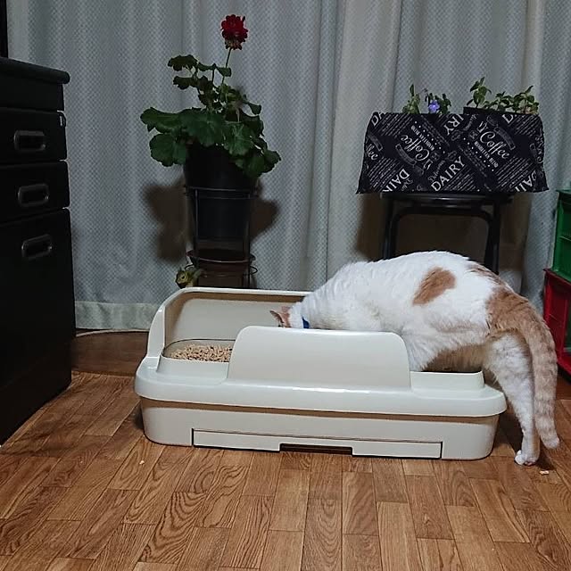 NOAHさんの実例写真