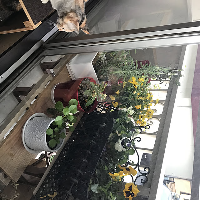 Yoshieさんの実例写真