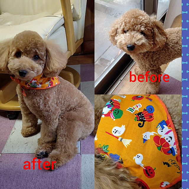 yumirinさんの実例写真