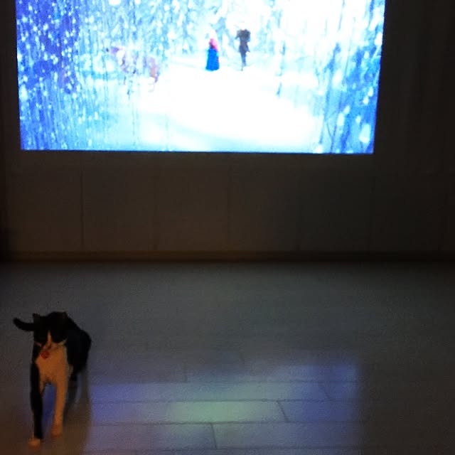 kimishigureさんの実例写真