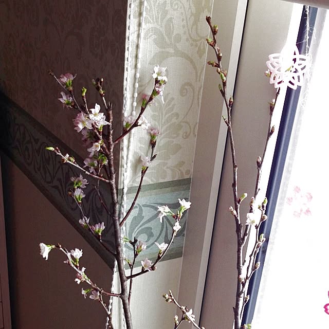 yskm-410さんの実例写真