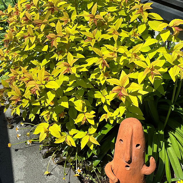 romiromiさんの実例写真