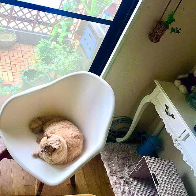 naokoさんの部屋