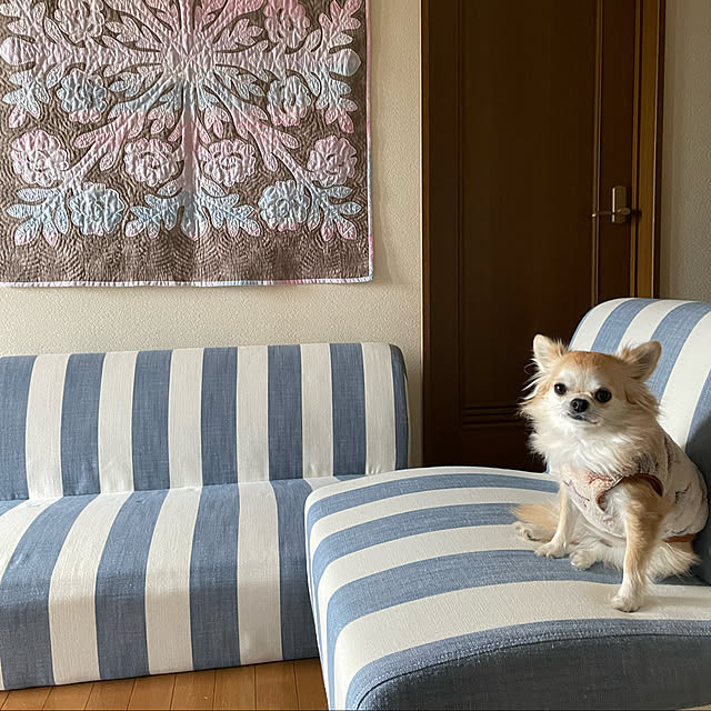 natsumiさんの実例写真
