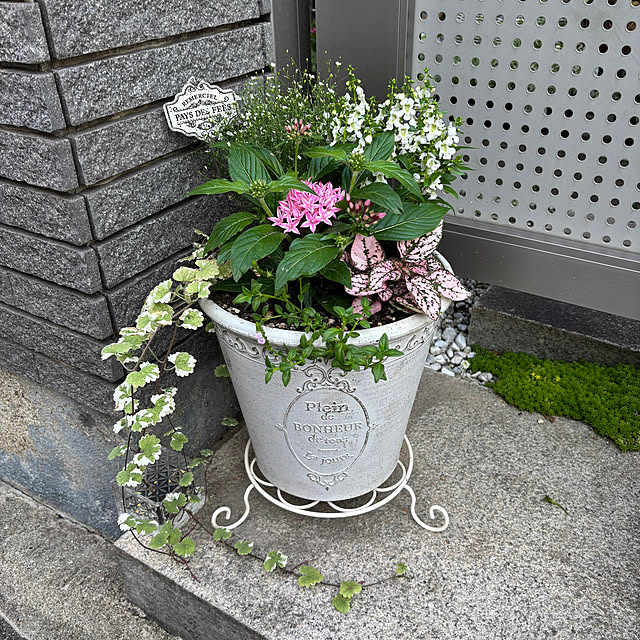 maayaさんの部屋