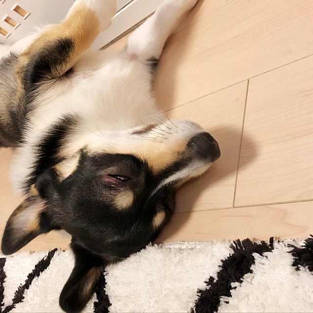 Ruiさんの実例写真