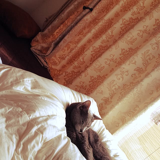 hacoさんの実例写真