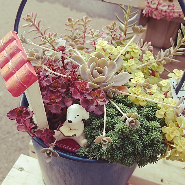 rookier05さんの実例写真