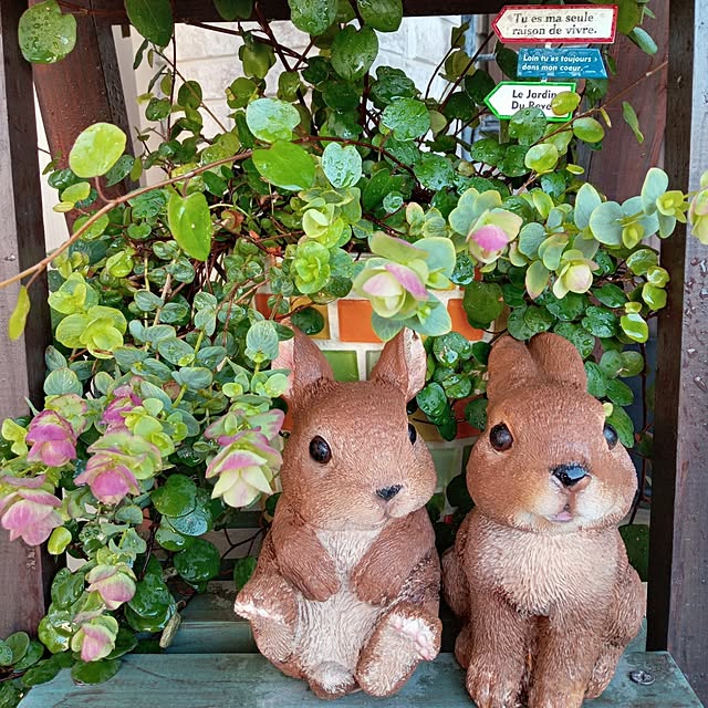 mocomocoさんの部屋