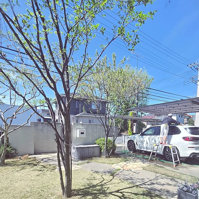 mutyukingさんの実例写真