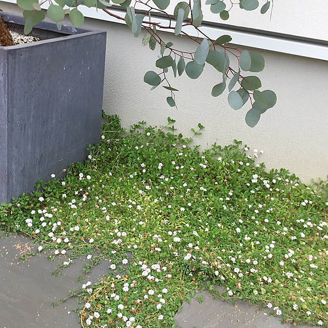 m__home_17さんの実例写真