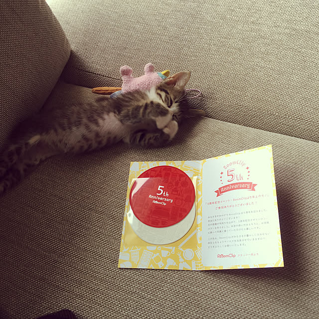 poncocoberryさんの実例写真