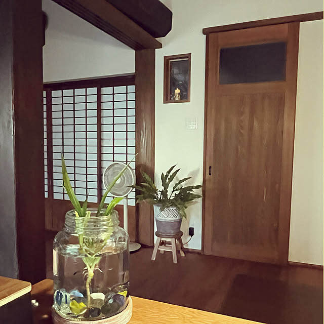 cotaさんの部屋
