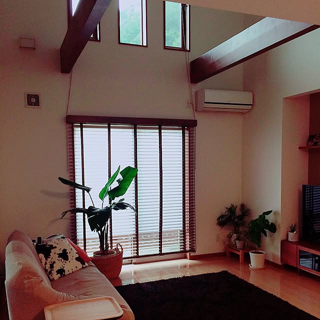 shihoさんの実例写真