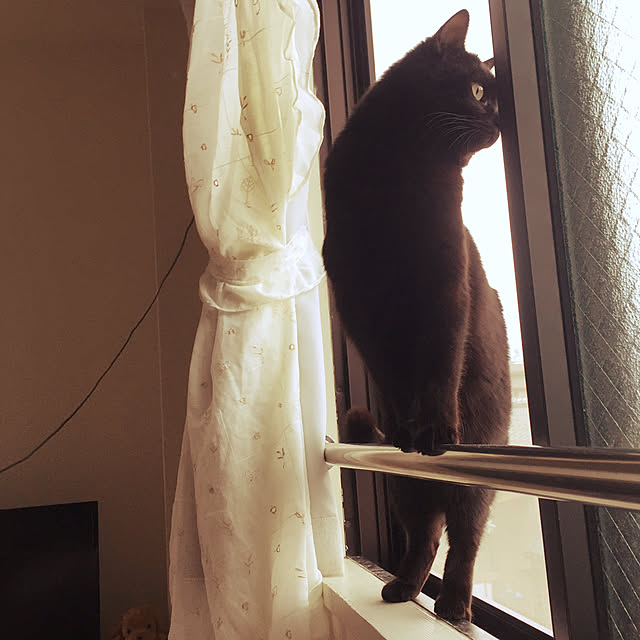 soraさんの実例写真