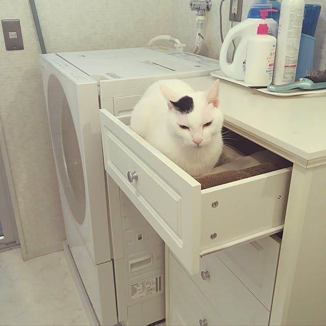hakuさんの実例写真