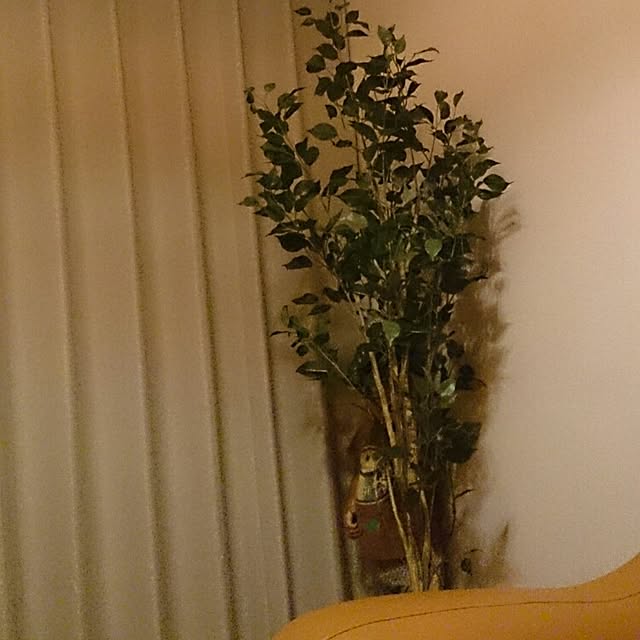 hrk210xxxさんの実例写真
