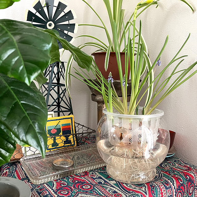 chikaさんの実例写真