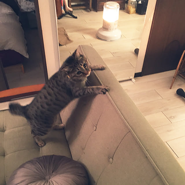 Mさんの実例写真