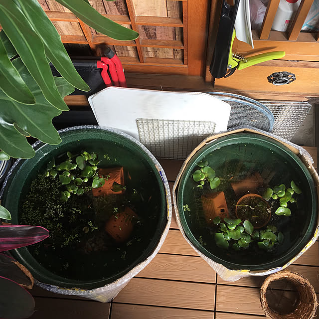 sakuranboさんの実例写真