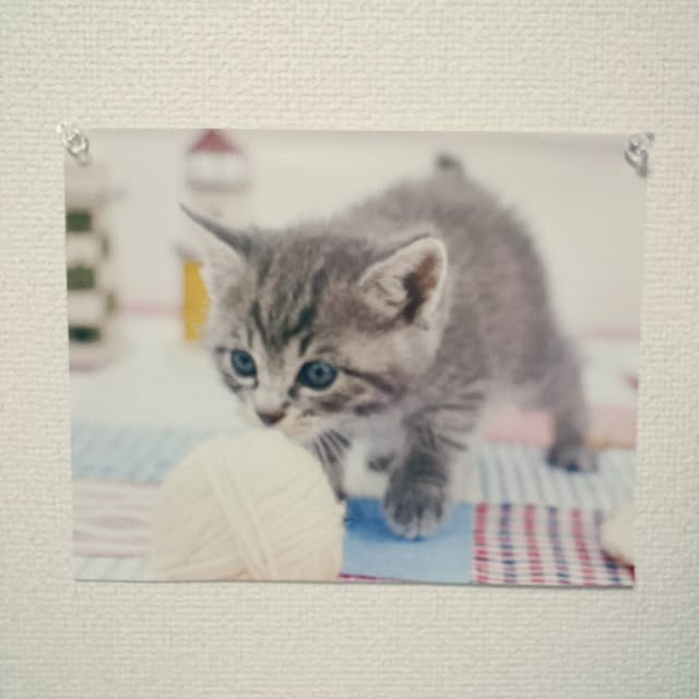 実例写真
