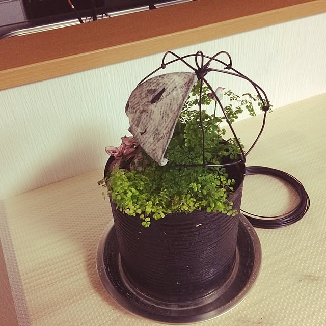 実例写真
