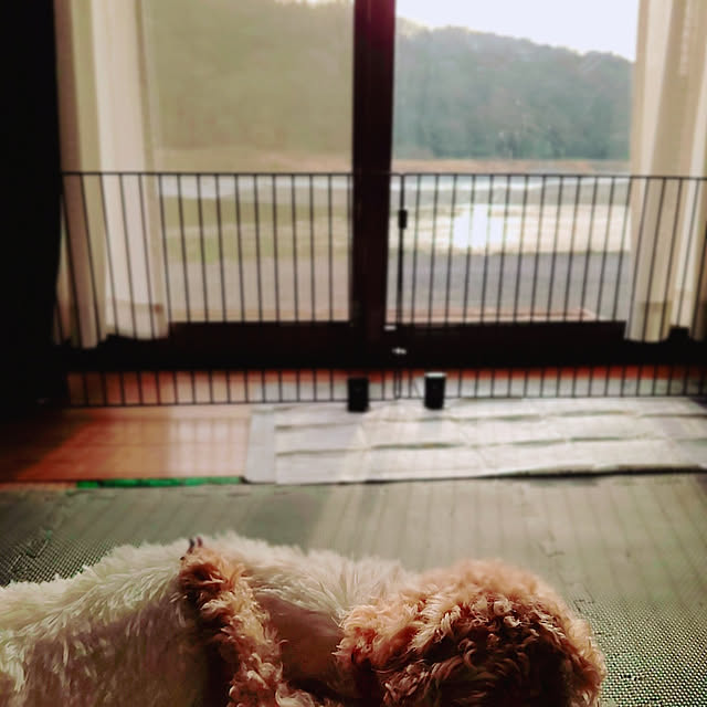mai_maiさんの実例写真