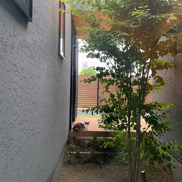 h_home.hさんの実例写真