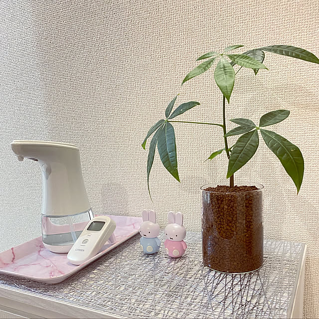 SKさんの実例写真