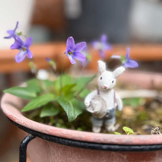 Aqettyさんの部屋