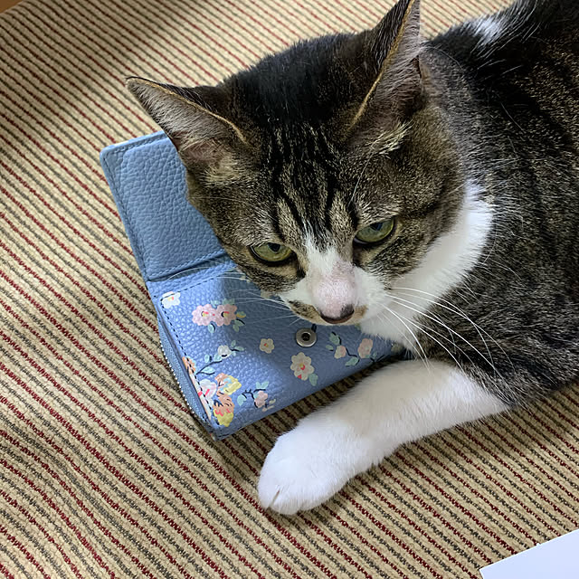 mohimikanさんの実例写真