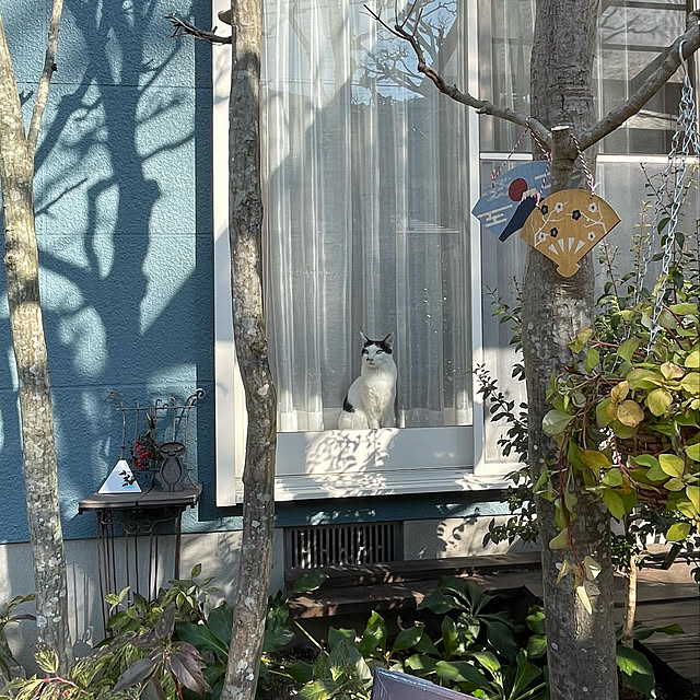 nobikoさんの実例写真