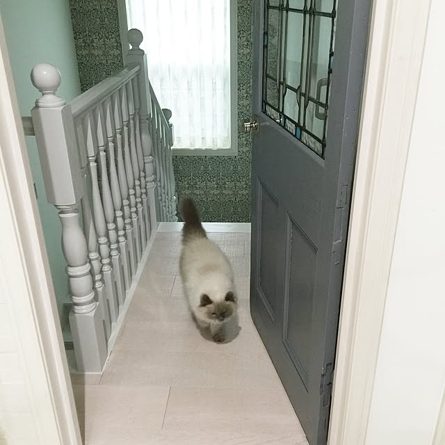 yuchiさんの実例写真