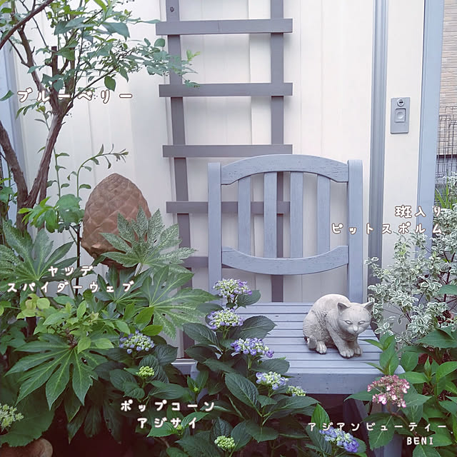 chocoさんの実例写真