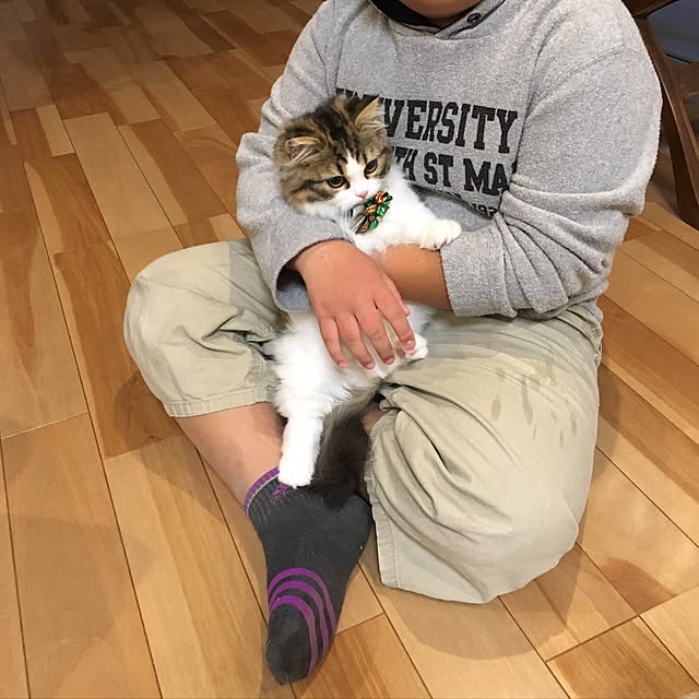 cotesanさんの実例写真