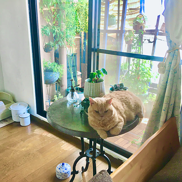 naokoさんの実例写真