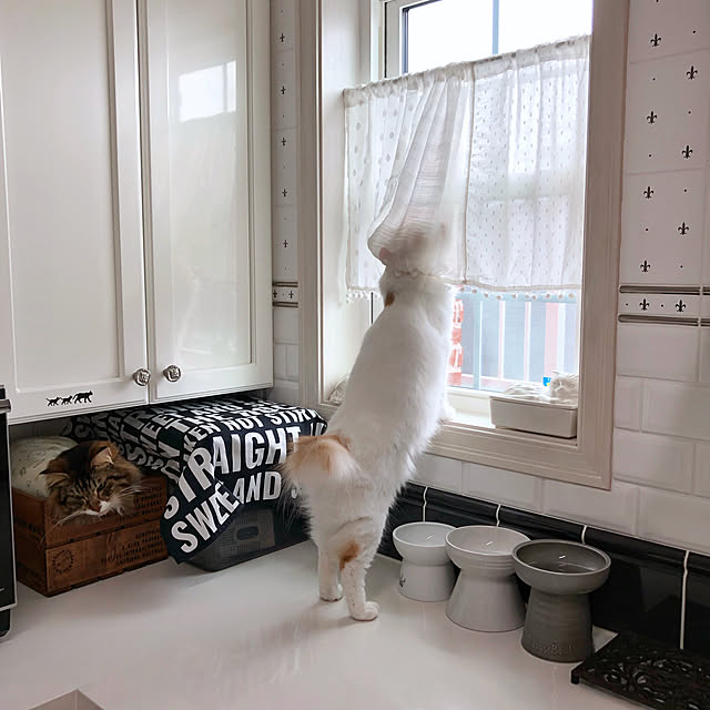 yuchiさんの実例写真