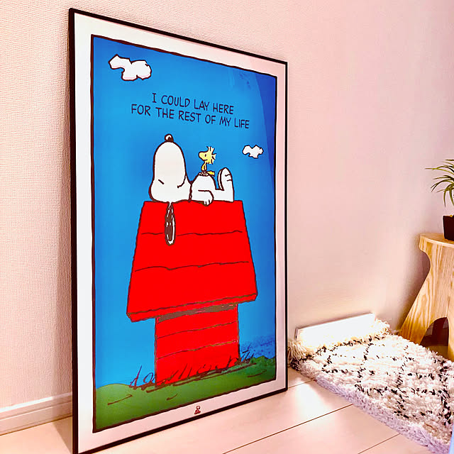 snoopyさんの実例写真