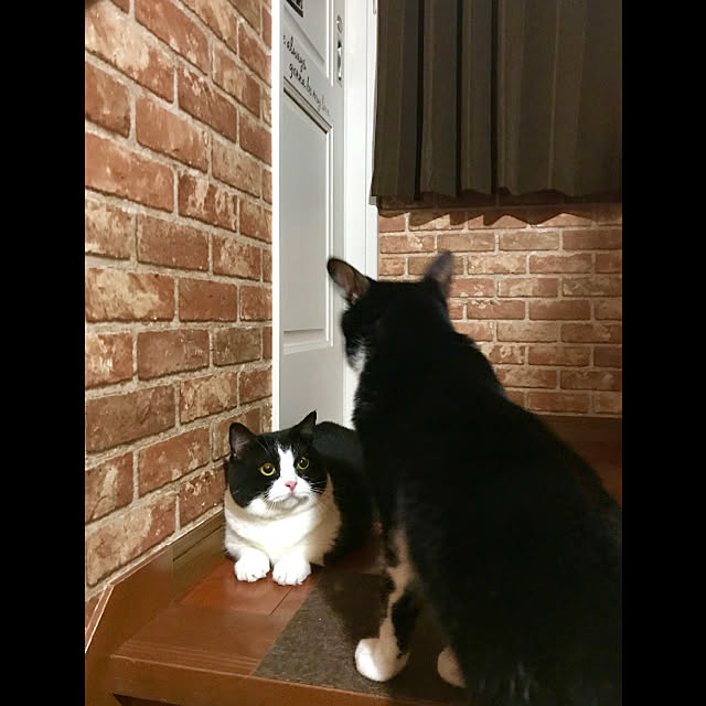 butachanさんの実例写真