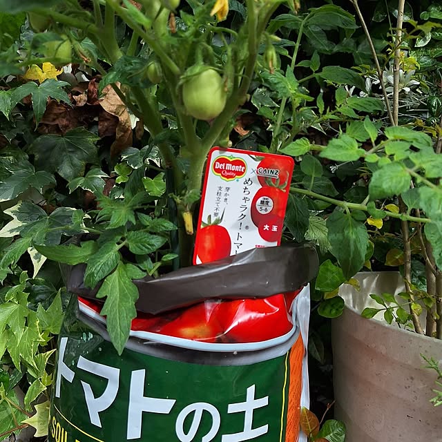 Blancheさんの部屋
