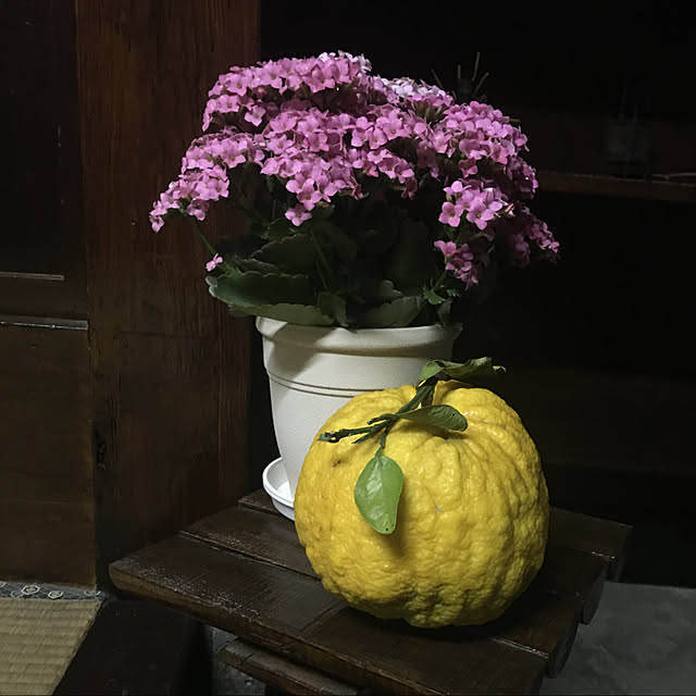 enoさんの実例写真