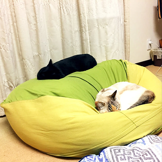 nanaさんの実例写真