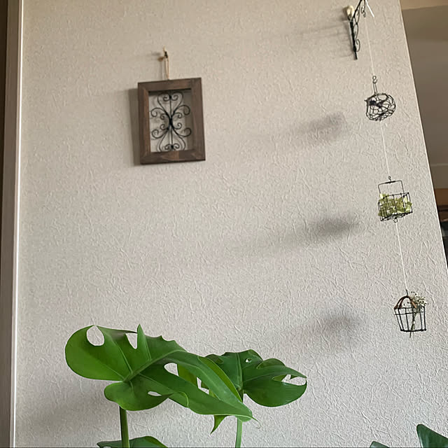 JUNさんの実例写真